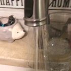 Stay hydrated