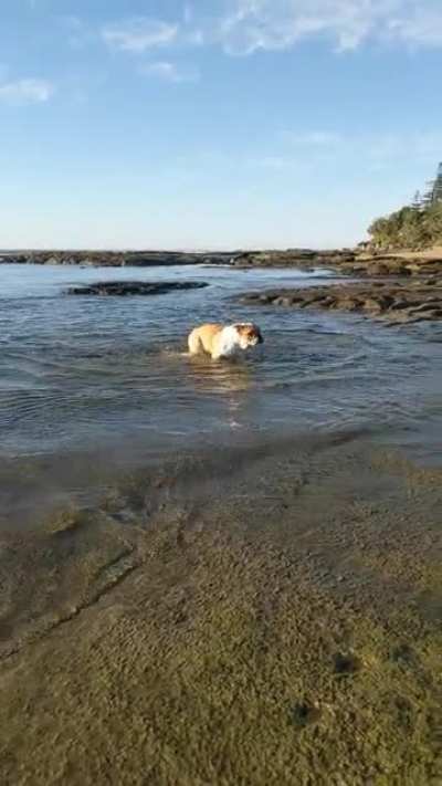 I think she found the deep spot!