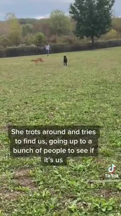 Getting “lost”