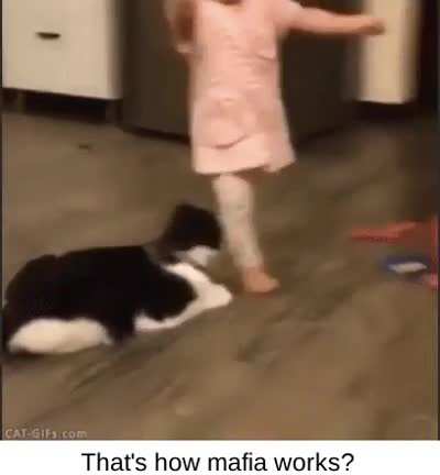 I don't need sleep, I need answers.