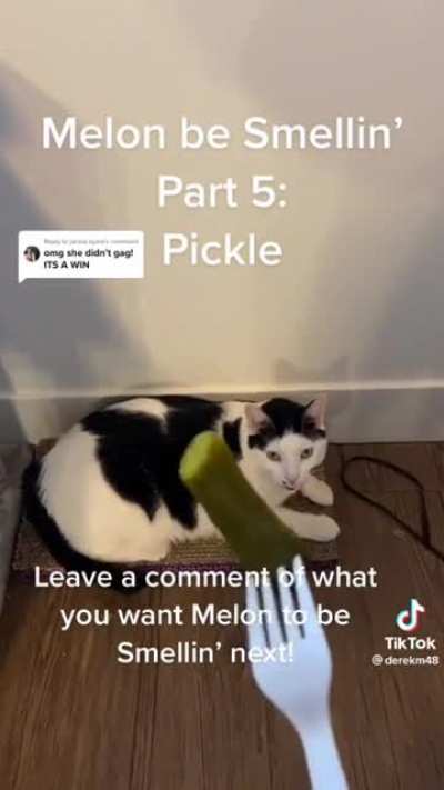 Melon Be Smellin’