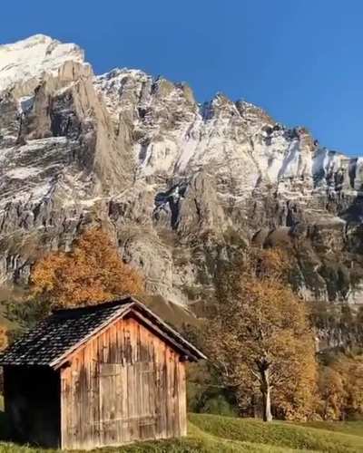 ?Grindelwald, Switzerland