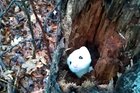 Something's in there!