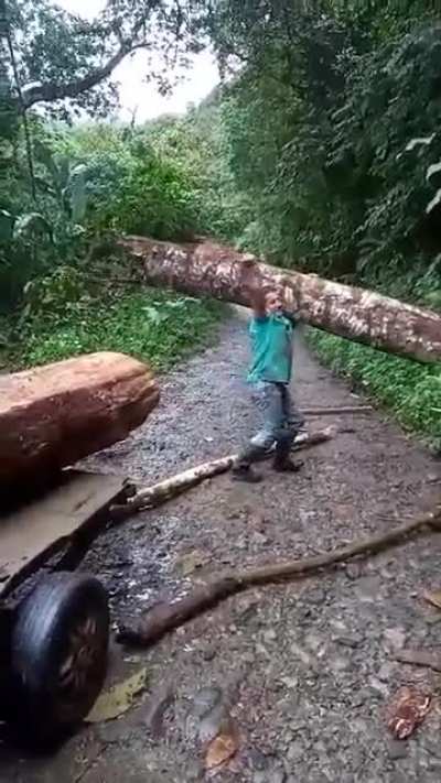 could've got hurt