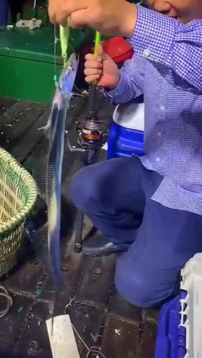 ? A cutlassfish ?