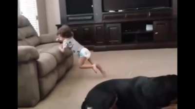 Lil man finds out what war is really like