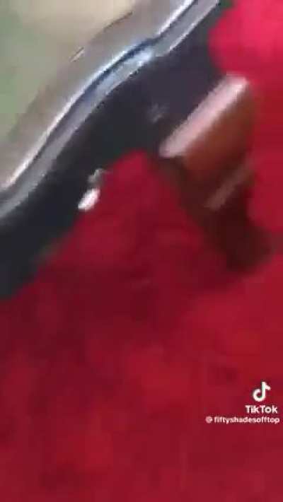 Dog regretting his action
