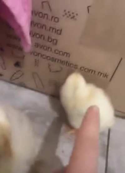 maybe maybe maybe