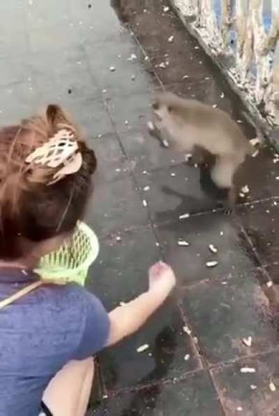 Maybe Maybe Maybe