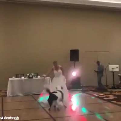 Doggo dances with owner at her wedding ?
