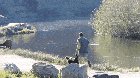 Hey guys... wait for me!