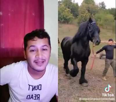 Who’s horse is that?