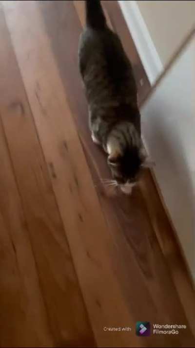 Maya waits patiently until the magic circle says it’s dinner time. Then it’s scream city.