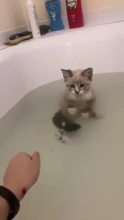 Splash sploosh