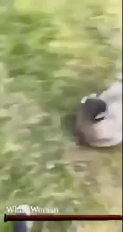 Who has played Dark Souls will understand