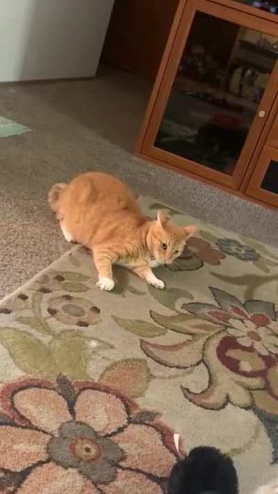 She saw a ghost.