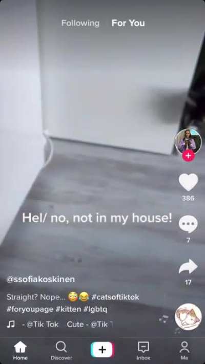 Cats have sexualities now? (did not let me save video so screen record)