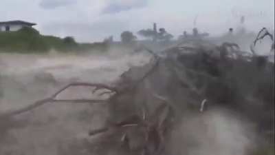 challenging mother nature