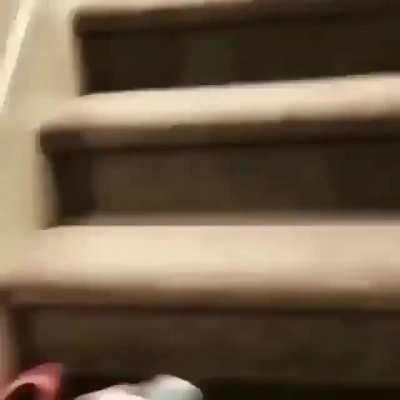Barkour!