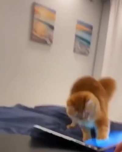 You have to become one with the fish ?