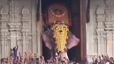 India's tallest elephant Thechikkottukavu Ramachandran.