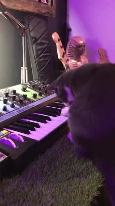 Writing partner