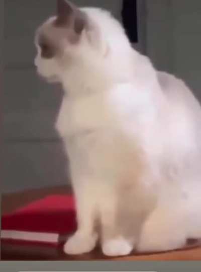 Awwwww- NO