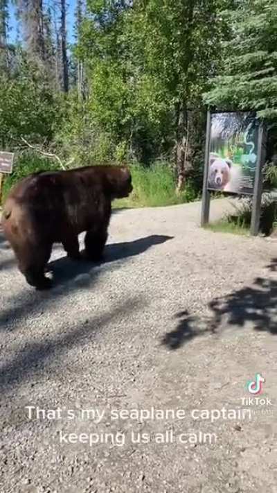 Nonononobear