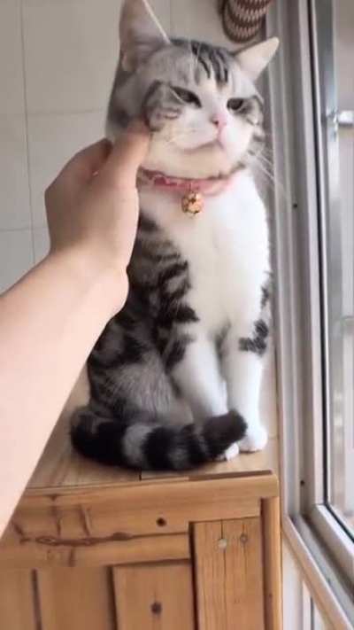 ?