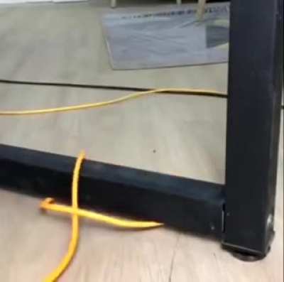 Topology demonstrations.