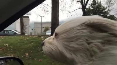 NeverEnding story!