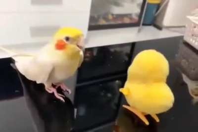 Don't stop now!