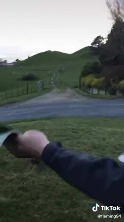 To release a bird
