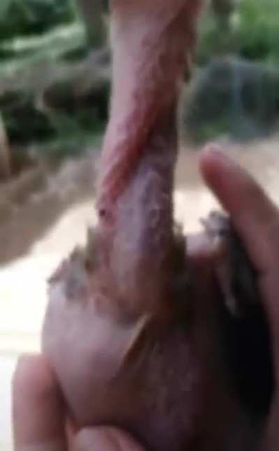 ?
