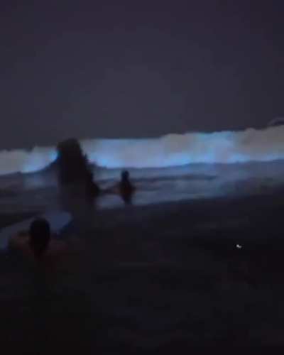 ? Glowing sand beach in the Maldives ?