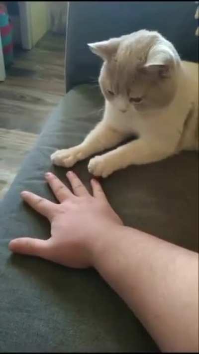 ??