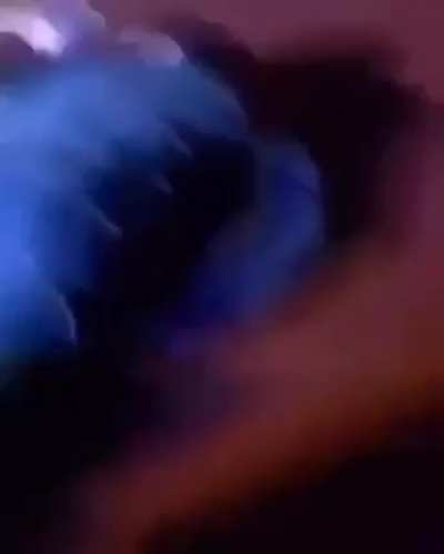 wcgw dancing