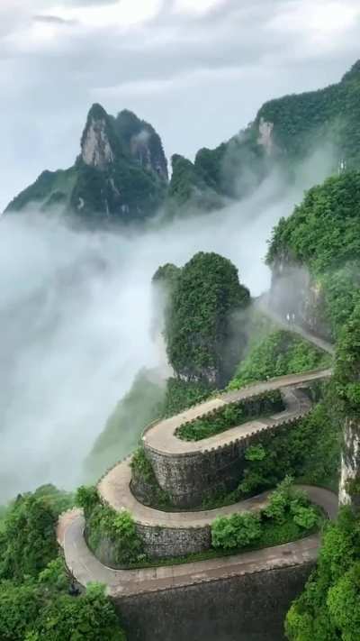 ? zhangjiajie national forest