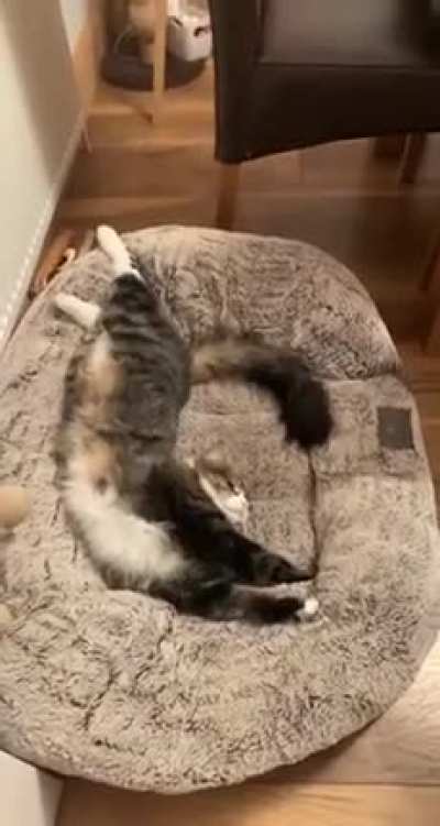 "Get him out of my bed!"