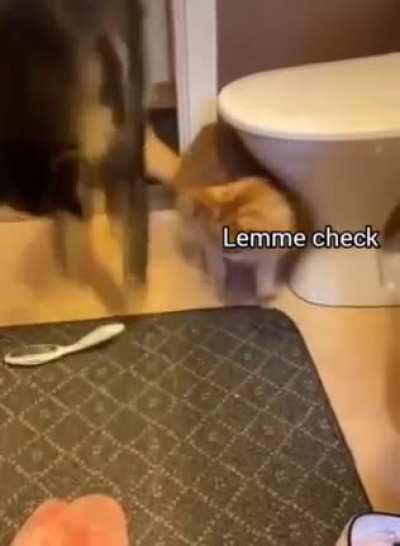 I hate it when you do that...