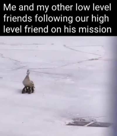 It will be an easy mission he said