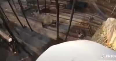 Blursed_landing