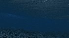 A wave breaking from underwater