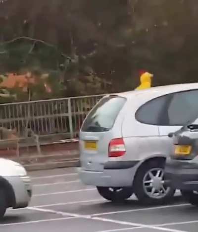 (Turn sound on)