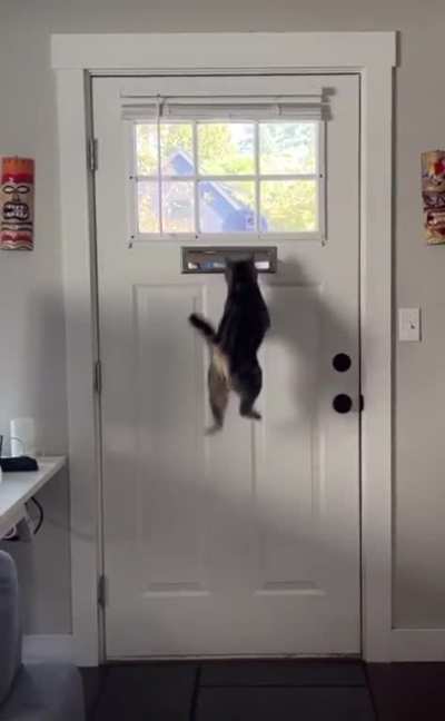 HMC while I get the mail