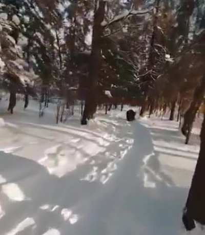 Drone footage