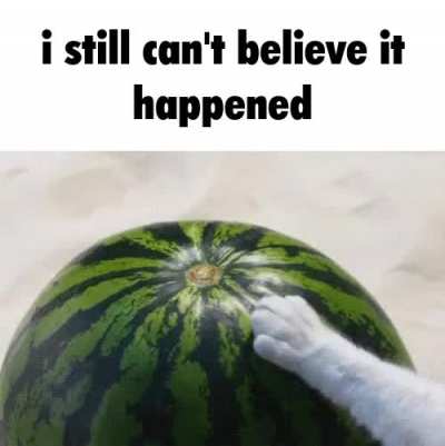 Slap that watermelon