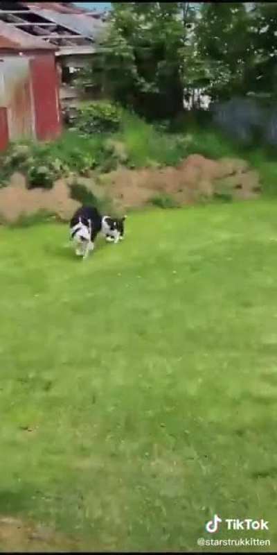 Hang on kid!