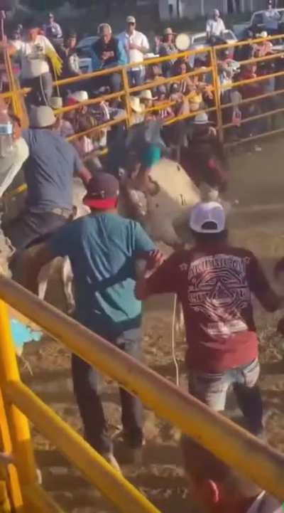 Bull rider knocked out while riding bull.