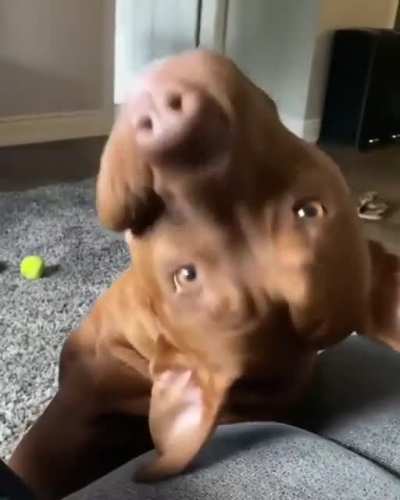 Continue, pls ?